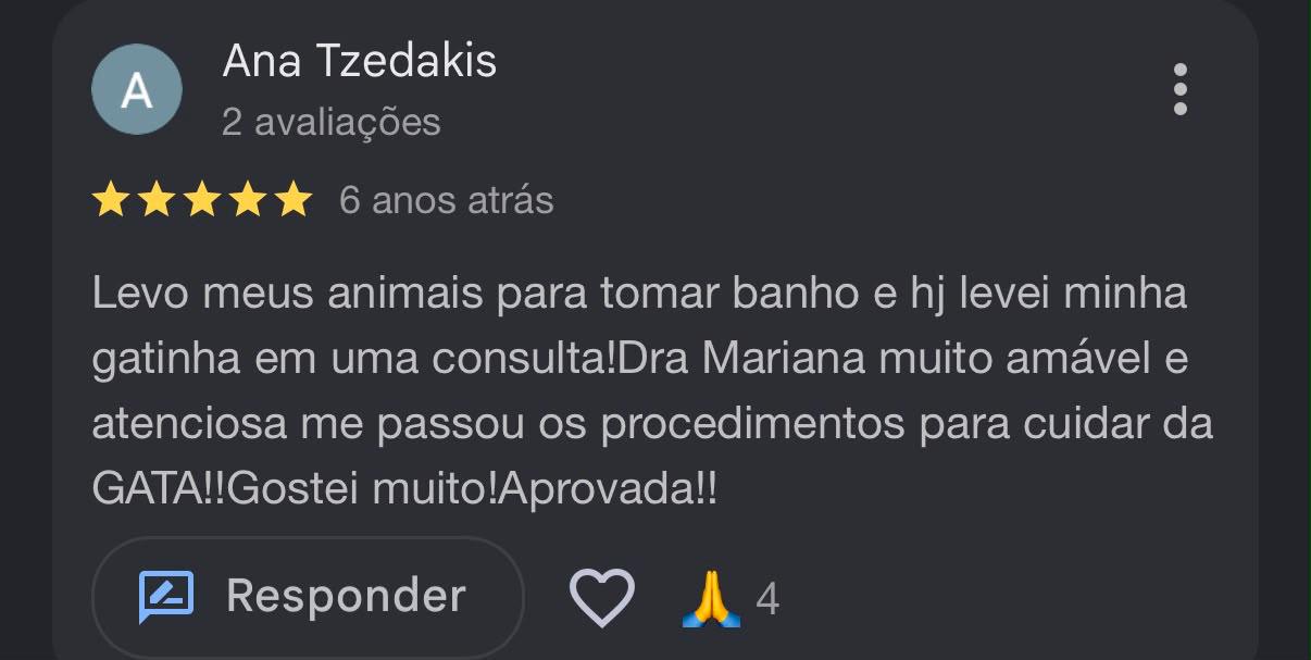 Avaliação de Ana Tzedakis no Google